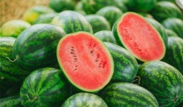 大洋洲吃瓜,探寻异域美食中的“吃瓜”文化