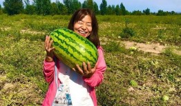 小康吃瓜视频,揭秘娱乐圈幕后故事，带你领略明星真实生活