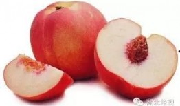 寿桃瓜可以吃吗,能否食用及营养价值揭秘