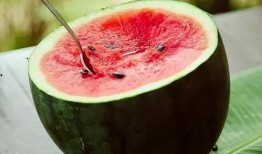 吃半个瓜升多少血糖,揭秘瓜类对血糖的影响