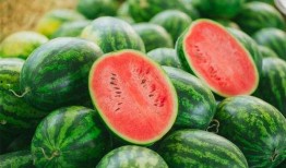 吃瓜多好,吃瓜群众眼中的娱乐圈风云录