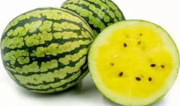 八凌瓜怎么吃,解锁美味新体验