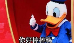 正义鸭鸭鸭吃瓜合集,揭秘娱乐圈幕后真相