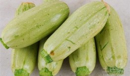 瓜生的可以吃嘛,探究可食用瓜果的奥秘