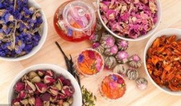 吃瓜偏门项目,探索偏门项目的独特魅力