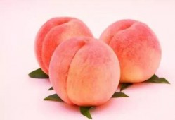 蜜桃吃瓜那个是哪一期,揭秘热门综艺幕后故事