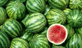 吃瓜人组,网络舆论场中的“瓜农”与“瓜民”