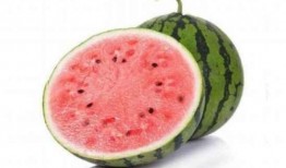 怎么吃麒麟瓜好吃呢,麒麟瓜美味食法大揭秘