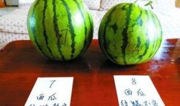 西安广告圈吃瓜,揭秘幕后“吃瓜”大事件