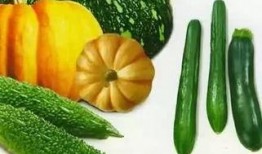 孙集吃瓜,揭秘乡村生活的酸甜苦辣