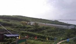 钟楼吃瓜群众事件,一场网络舆论的风暴与反思