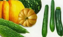 八凌瓜怎么吃,解锁美味新体验