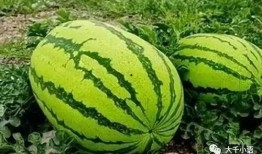 今天有什么大瓜吃吗,揭秘娱乐圈最新大瓜，精彩纷呈等你来吃！