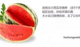 云禾吃瓜,揭秘娱乐圈幕后故事