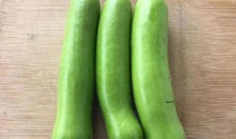 瓠子瓜应该怎么吃