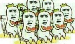 迷糊吃瓜女孩,迷糊吃瓜女孩的欢乐瓜田之旅