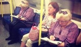 吃瓜福建兄妹视频,揭秘民间美食与欢乐时光