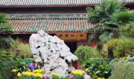 相国寺吃瓜