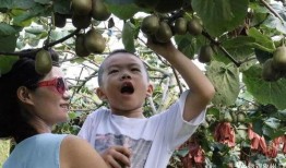 象州县吃瓜,品味乡愁，畅享清凉