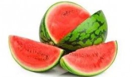 大树吃瓜动画,一场奇幻的森林冒险之旅