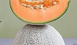 道具 夏日吃瓜季,尽享“吃瓜季”的快乐时光