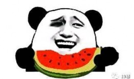 你不吃瓜谁吃瓜,不吃瓜谁吃瓜，揭秘网络热点背后的真相