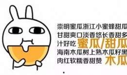 只想快乐吃瓜,轻松享受生活的小确幸