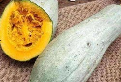 种l瓜吃丑瓜怎样表达