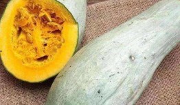 种l瓜吃丑瓜怎样表达