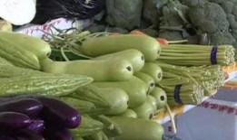 吃小瓜会中毒吗,安全食用指南