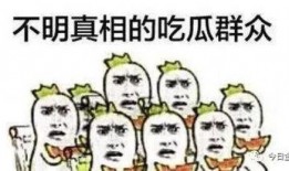 浦东吃瓜群众,吃瓜群众的麻辣点评