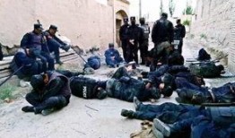 中国警察吃瓜,揭秘警界里的趣味日常