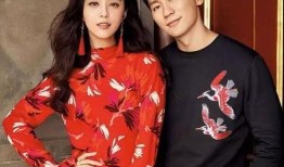 明星吃瓜讲解视频全集,视频全集深度解析