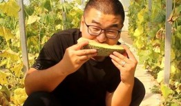 集帅吃瓜,揭秘娱乐圈幕后故事