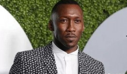 吃瓜视频老哥,带你领略网络红人的魅力与争议