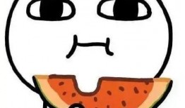 瓜是吃的英语,Exploring the Versatile World of Melons: A Culinary Journey