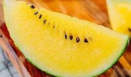 轻心吃瓜,揭秘娱乐圈幕后故事