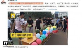 山东卫视吃瓜群众,揭秘娱乐圈幕后故事
