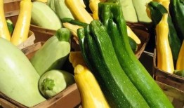 瓜哥带你吃瓜夏天,瓜哥带你畅游夏日瓜果盛宴