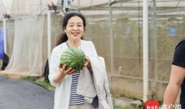 陈明吃瓜,揭秘娱乐圈幕后故事