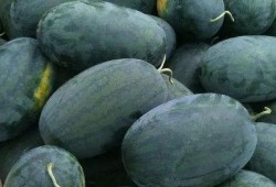 武汉dj吃瓜,揭秘网络舆论背后的真相与反思