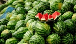 百度云网红吃瓜,百度云红人圈层现象深度解析