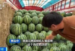 大董吃瓜