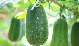 被窝里吃瓜,共享那些暖心的瞬间