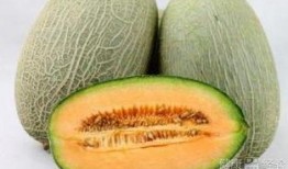 排卵期吃哈密瓜好不好,健康益处与注意事项