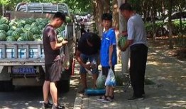 旧金山吃瓜群众,吃瓜群众的美食盛宴