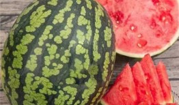 如何快速吃瓜的,教你如何快速吃瓜不迷路