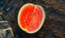 太乙吃瓜,揭秘娱乐圈背后的那些事儿