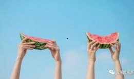 吃瓜小秋秋,揭秘娱乐圈那些不为人知的幕后故事