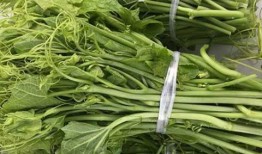 胡子瓜苦怎么吃,胡子瓜苦的多样食用方法探索